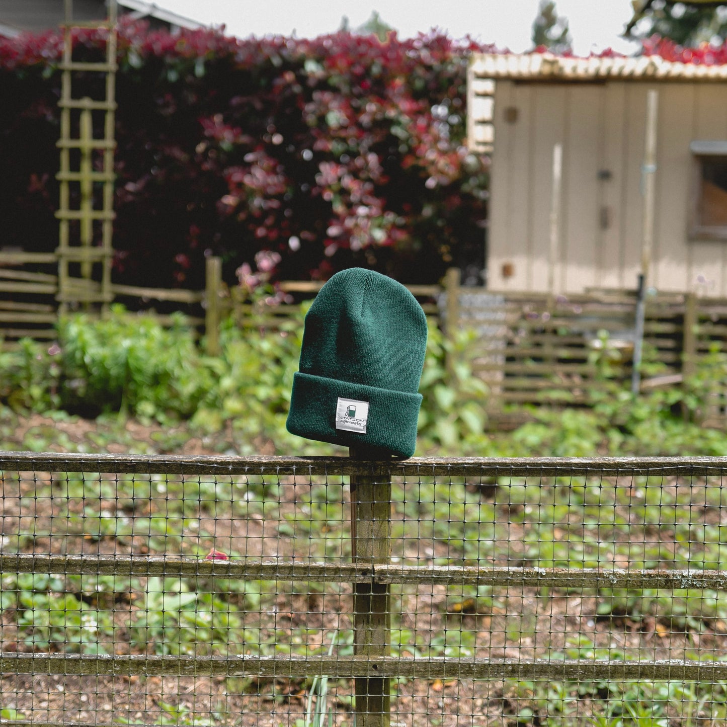 Logo Beanie